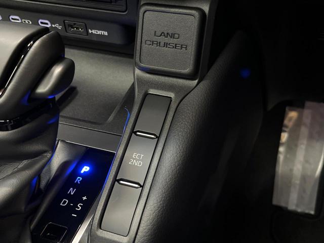 ランドクルーザー250 VX 禁煙 サンルーフ 12型ディスプレイオーディオ 全周囲カメラ レーダークルーズ ブラインドスポットモニター デジタルミラー パワーバックドア 本革シート ベンチレーション 丸目LEDヘッド ETC(53枚目)