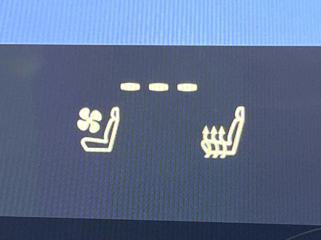 NX NX350h Fスポーツ 禁煙 サンルーフ 純正14型ナビ 全周囲カメラ ブラインドスポットモニター レーダークルーズ 電動リアゲート 黒革 シートベンチレーション 三眼LEDヘッド オートハイビーム 純正20アルミ ETC(8枚目)