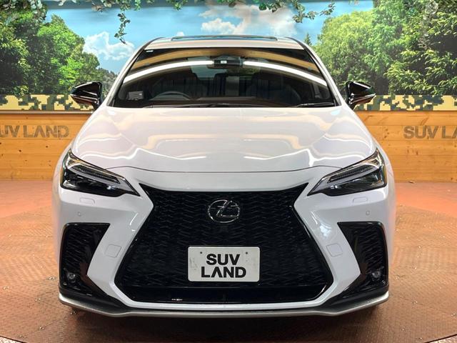 NX NX350h Fスポーツ 禁煙 サンルーフ 純正14型ナビ 全周囲カメラ ブラインドスポットモニター レーダークルーズ 電動リアゲート 黒革 シートベンチレーション 三眼LEDヘッド オートハイビーム 純正20アルミ ETC(16枚目)