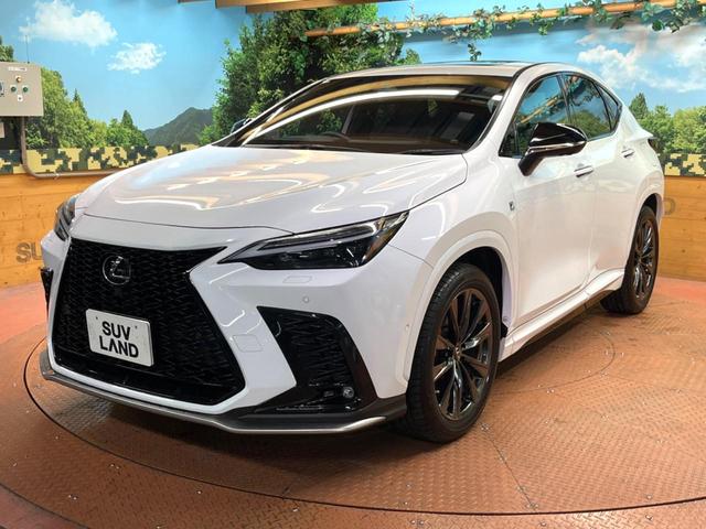 NX NX350h Fスポーツ 禁煙 サンルーフ 純正14型ナビ 全周囲カメラ ブラインドスポットモニター レーダークルーズ 電動リアゲート 黒革 シートベンチレーション 三眼LEDヘッド オートハイビーム 純正20アルミ ETC(64枚目)