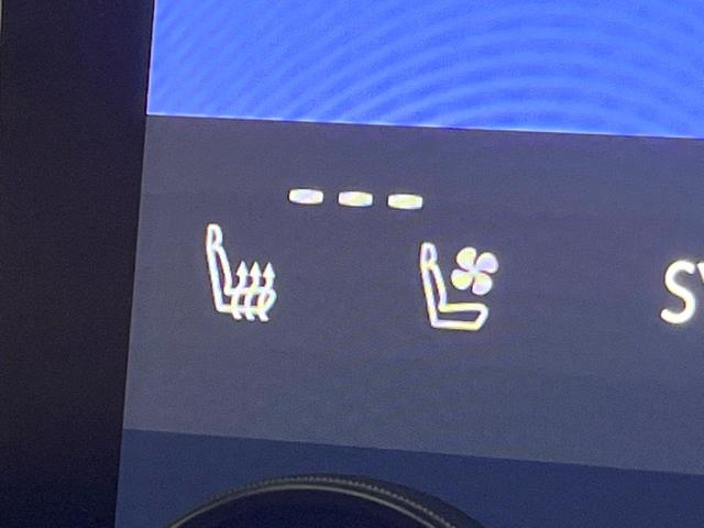 アルファード Ｚ　禁煙車　ガラスルーフ　モデリスタエアロ　ユニバーサルステップ　フリップダウン　純正１４型ナビ　全周囲カメラ　レーダークルーズ　ブラインドスポットモニター　デジタルミラー　三眼ＬＥＤヘッド　ＥＴＣ（53枚目）