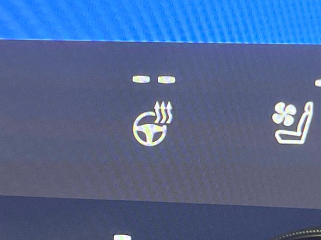 アルファード Ｚ　禁煙車　ガラスルーフ　モデリスタエアロ　ユニバーサルステップ　フリップダウン　純正１４型ナビ　全周囲カメラ　レーダークルーズ　ブラインドスポットモニター　デジタルミラー　三眼ＬＥＤヘッド　ＥＴＣ（54枚目）