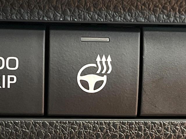 RAV4 ハイブリッドアドベンチャー オフロードパッケージII 禁煙車 純正10型ディスプレイ バックカメラ 電動リアゲート レーダークルーズ ブラインドスポットモニター シートエアコン メモリーシート LEDヘッド オートハイビーム 純正18アルミ ETC(36枚目)