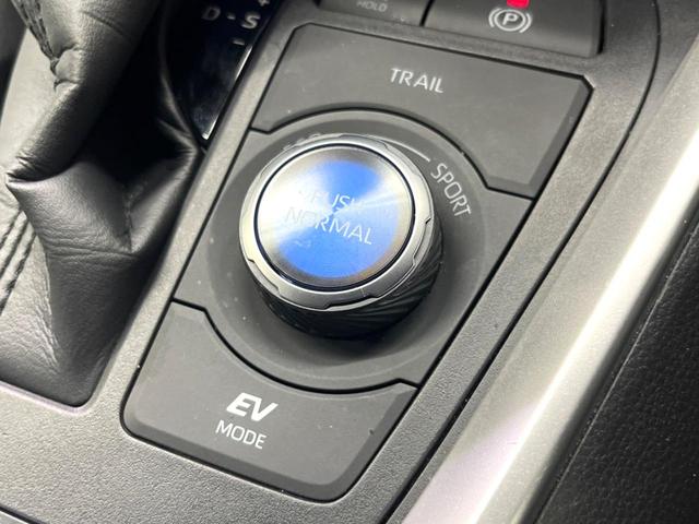 RAV4 ハイブリッドアドベンチャー オフロードパッケージII 禁煙車 純正10型ディスプレイ バックカメラ 電動リアゲート レーダークルーズ ブラインドスポットモニター シートエアコン メモリーシート LEDヘッド オートハイビーム 純正18アルミ ETC(51枚目)