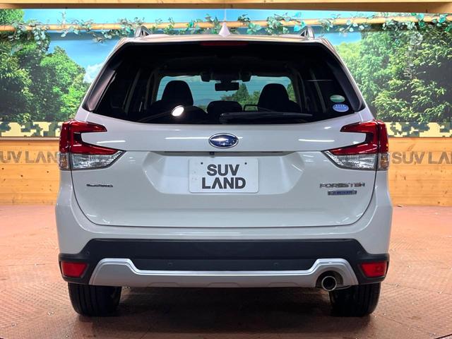 フォレスター アドバンス 禁煙 純正8型ナビ バックカメラ アイサイト レーダークルーズ デジタルミラー ブラインドスポットモニター ハーフレザーシート メモリーシート シートヒーター LEDヘッド 純正18アルミ ETC(17枚目)