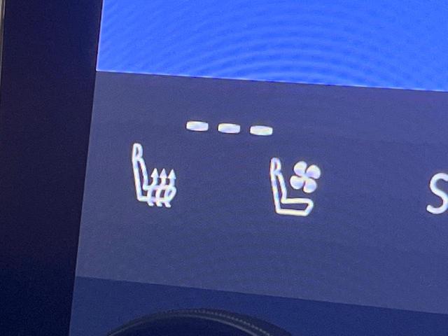 アルファード Ｚ　禁煙　モデリスタエアロ　ガラスルーフ　フリップダウン　純正１４型ナビ　全周囲カメラ　ブラインドスポットモニター　レーダークルーズ　デジタルミラー　電動リアゲート　三眼ＬＥＤヘッド　純１８アルミ　ＥＴＣ（50枚目）