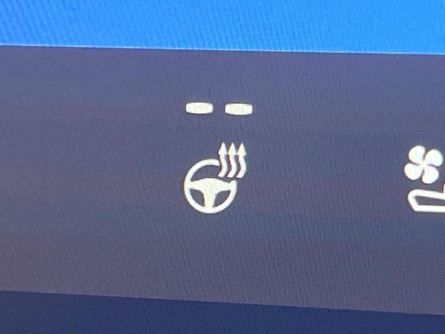 アルファード Ｚ　禁煙　モデリスタエアロ　ガラスルーフ　フリップダウン　純正１４型ナビ　全周囲カメラ　ブラインドスポットモニター　レーダークルーズ　デジタルミラー　電動リアゲート　三眼ＬＥＤヘッド　純１８アルミ　ＥＴＣ（51枚目）