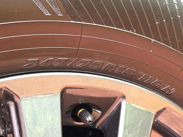 ランドクルーザー250 GX 4WD 全周囲カメラ 衝突被害軽減システム レーダークルーズ 禁煙車 コーナーセンサー LEDヘッド オートハイビーム 車線逸脱警報 オートライト デュアルエアコン 純正18インチAW ETC(25枚目)