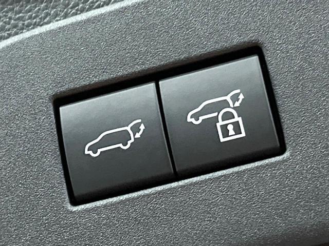 ランドクルーザー250 VX 禁煙車 サンルーフ 丸目ヘッド 12型ナビフルセグ 全周囲カメラ レーダークルーズ オートハイビーム ブラインドスポットモニター 電動リアゲート デジタルミラー シートベンチレーション ETC(65枚目)