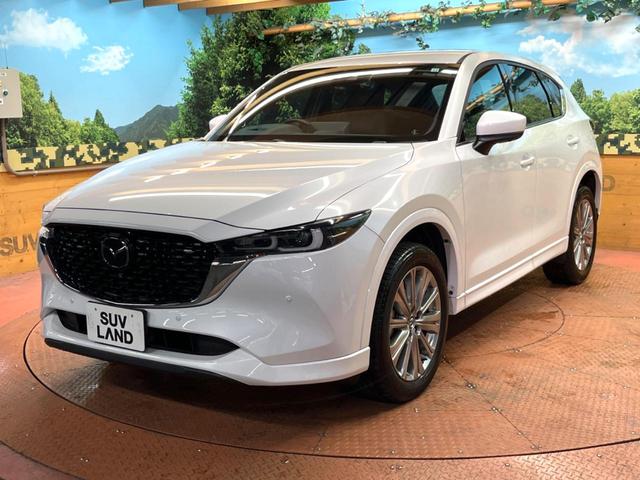 CX-5 25S エクスクルーシブモード BOSEサウンド 純正SDナビ 全周囲カメラ 衝突被害軽減システム レーダークルーズ 禁煙車 電動リアゲート レザーシート 前席シートエアコン ドラレコ コーナーセンサー スマートキー LEDヘッド(59枚目)