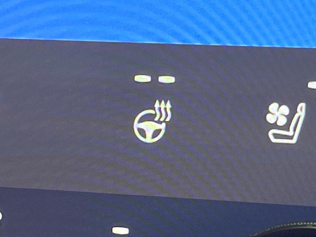 アルファード Ｚ　禁煙　ガラスルーフ　モデリスタエアロ　ユニバーサルステップ　フリップダウン　純正１４型ナビ　全周囲カメラ　ブラインドスポットモニター　電動リアゲート　レーダークルーズ　デジタルミラー　３眼ＬＥＤヘッド（49枚目）