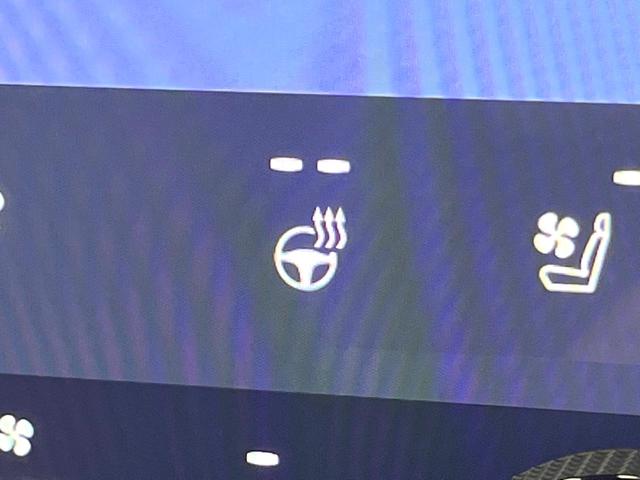 RX RX350h バージョンL 禁煙 純正14型ナビ 全周囲カメラ ブラインドスポットモニター デジタルミラー レーダークルーズ 電動リアゲート 三眼LEDヘッド 黒革 メモリーシート シートベンチレーション 純正21アルミ ETC(49枚目)