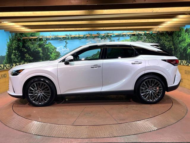 RX RX350h バージョンL 禁煙 純正14型ナビ 全周囲カメラ ブラインドスポットモニター デジタルミラー レーダークルーズ 電動リアゲート 三眼LEDヘッド 黒革 メモリーシート シートベンチレーション 純正21アルミ ETC(53枚目)