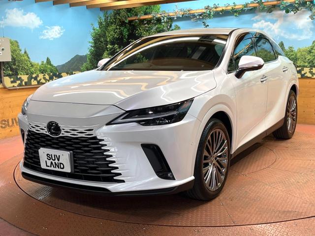 RX RX350h バージョンL 禁煙 純正14型ナビ 全周囲カメラ ブラインドスポットモニター デジタルミラー レーダークルーズ 電動リアゲート 三眼LEDヘッド 黒革 メモリーシート シートベンチレーション 純正21アルミ ETC(54枚目)