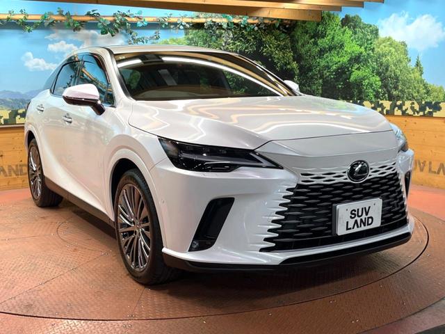 RX RX350h バージョンL 禁煙 純正14型ナビ 全周囲カメラ ブラインドスポットモニター デジタルミラー レーダークルーズ 電動リアゲート 三眼LEDヘッド 黒革 メモリーシート シートベンチレーション 純正21アルミ ETC(55枚目)