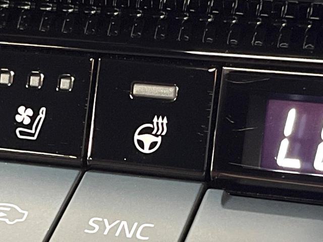 ランドクルーザー250 ZXファーストエディション 禁煙 サンルーフ JBLサウンド 丸目LEDヘッド 純正12型ナビ 全周囲カメラ デジタルミラー ブラインドスポットモニター 茶革 メモリーシート シートベンチレーション デフロック 純正18アルミ(55枚目)