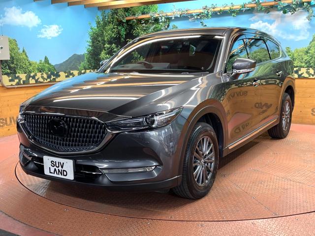 ＣＸ－８ ２５Ｓ　スマートエディション　７人乗り　純正ＳＤナビ　全周囲カメラ　衝突軽減装置　レーダークルーズ　禁煙車　ドラレコ　コーナーセンサー　ブラインドスポットモニター　車線逸脱警報（55枚目）