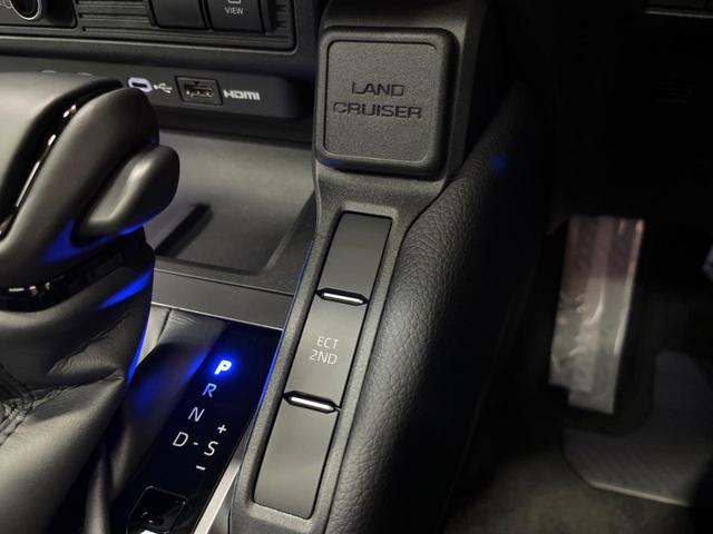 ランドクルーザー２５０ ＶＸ　登録済未使用車　７人乗　サンルーフ　純正１２型ディスプレイオーディオ　全周囲カメラ　デジタルミラー　丸目ＬＥＤヘッド＆フォグ　純正１８インチアルミ　本革　ベンチレーション　ステアリングヒーター　ＥＴＣ（52枚目）