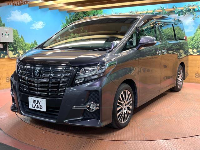 アルファード 2.5S Cパッケージ フリップダウン BIG-X10型ナビ バックカメラ レーダークルーズ 衝突軽減 両側電動ドア ステアリングヒーター 電動リアゲート LEDヘッド ハーフレザー パワーシート 純正18アルミ ETC(54枚目)