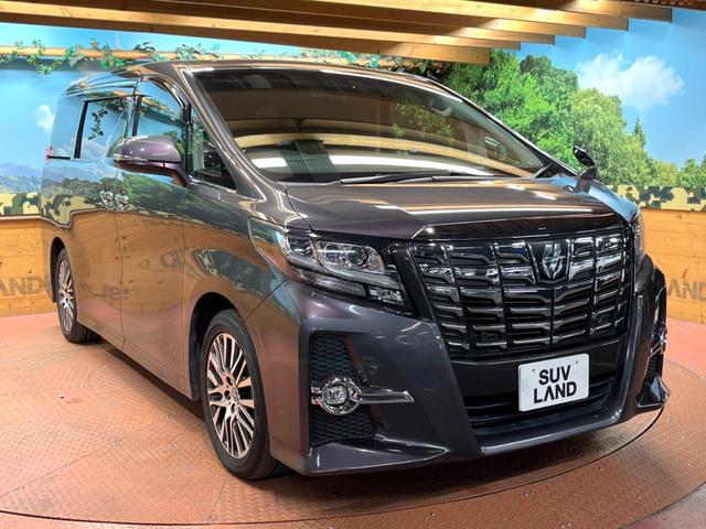 アルファード 2.5S Cパッケージ フリップダウン BIG-X10型ナビ バックカメラ レーダークルーズ 衝突軽減 両側電動ドア ステアリングヒーター 電動リアゲート LEDヘッド ハーフレザー パワーシート 純正18アルミ ETC(55枚目)