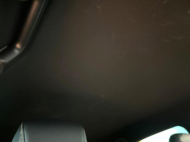 ハリアー プレミアム 純正9型ナビ バックカメラ クルコン 電動リアゲート シーケンシャルLEDヘッド オートハイビーム ハーフレザーシート パワーシート 純正18アルミ ETC アイドリングストップ 横滑り防止装置(33枚目)