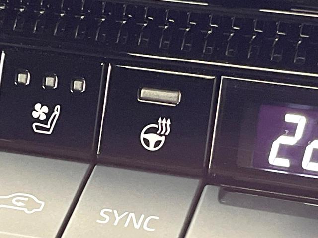 ランドクルーザー２５０ ＶＸ　禁煙車　サンルーフ　トヨタチームメイト　１２型ディスプレイ　全周囲カメラ　レーダークルーズ　ブラインドスポットモニター　デジタルミラー　黒革　シートベンチレーション　丸目ＬＥＤヘッド＆フォグ　ＥＴＣ（10枚目）