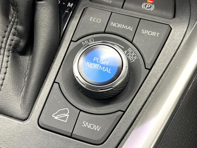 RAV4 アドベンチャー オフロードパッケージ 禁煙 純正9型ナビ 全周囲カメラ ブラインドスポットモニター レーダークルーズ デジタルミラー LEDヘッド&フォグ オートハイビーム クリアランスソナー 純正18アルミ ETC ルーフレール(49枚目)