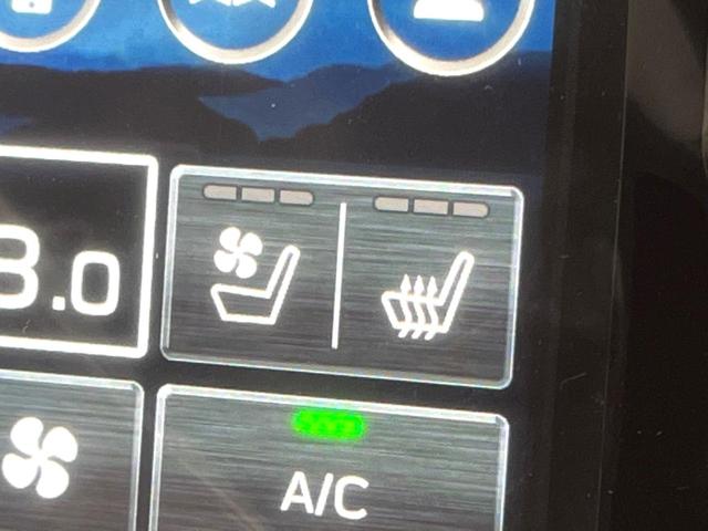 フォレスター プレミアムS:HEV EX 登録済未使用車 セットオプションCJ サンルーフ ハーマンカードン 黒革 アイサイトXテクノロジー 11型ナビフルセグ 全周囲カメラ アクセサリーコンセント 電動リアゲート 専用19インチAW(10枚目)