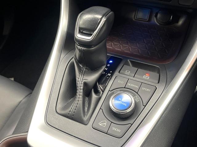 RAV4 G Zパッケージ 禁煙 純正9型ナビ バックカメラ レーダークルーズ ブラインドスポットモニター デジタルミラー パワーバックドア メモリーシート シートヒーター LEDヘッド 純正19インチアルミ ETC(49枚目)