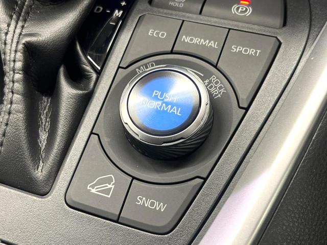 RAV4 G Zパッケージ 禁煙 純正9型ナビ バックカメラ レーダークルーズ ブラインドスポットモニター デジタルミラー パワーバックドア メモリーシート シートヒーター LEDヘッド 純正19インチアルミ ETC(50枚目)