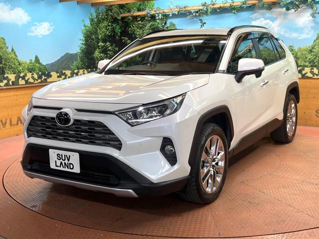 RAV4 G Zパッケージ 禁煙 純正9型ナビ バックカメラ レーダークルーズ ブラインドスポットモニター デジタルミラー パワーバックドア メモリーシート シートヒーター LEDヘッド 純正19インチアルミ ETC(54枚目)