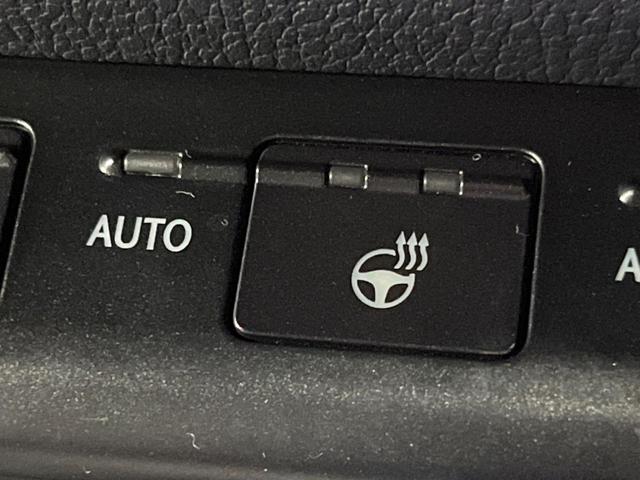 UX UX250h Fスポーツ 禁煙 純正10型ナビ バックカメラ レーダークルーズ ブラインドスポットモニター メモリーシート シートヒーター 電動リアゲート 三眼LEDヘッド オートハイビーム 純正18インチアルミ ETC(7枚目)