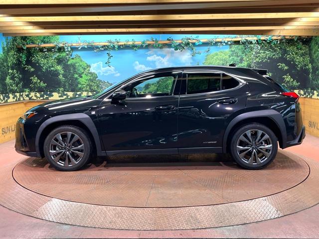 UX UX250h Fスポーツ 禁煙 純正10型ナビ バックカメラ レーダークルーズ ブラインドスポットモニター メモリーシート シートヒーター 電動リアゲート 三眼LEDヘッド オートハイビーム 純正18インチアルミ ETC(58枚目)