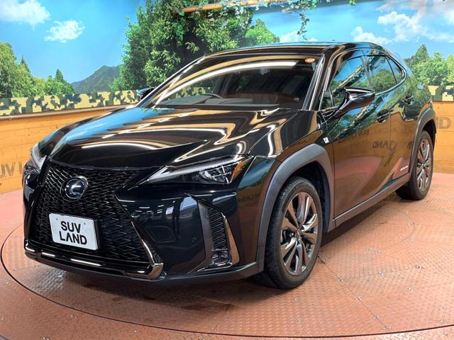 UX UX250h Fスポーツ 禁煙 純正10型ナビ バックカメラ レーダークルーズ ブラインドスポットモニター メモリーシート シートヒーター 電動リアゲート 三眼LEDヘッド オートハイビーム 純正18インチアルミ ETC(59枚目)