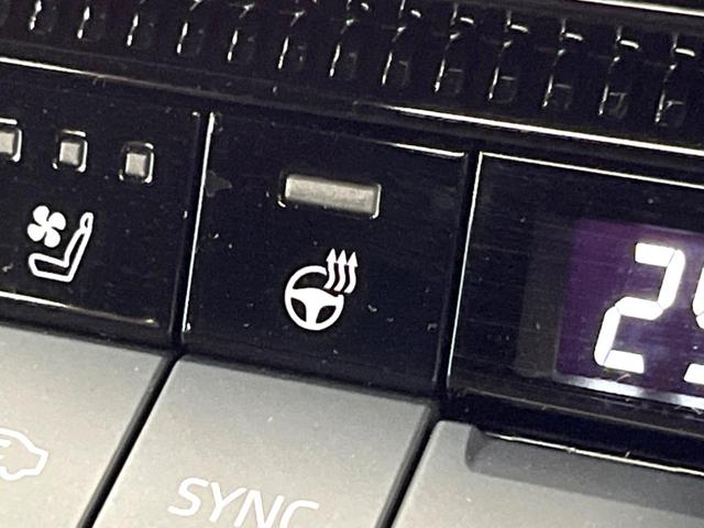 ランドクルーザー250 VX 禁煙車 7人乗り サンルーフ 純正12型ナビ 全周囲カメラ JBLサウンド デジタルインナーミラー ブラインドスポットモニター レーダークルーズ 電動リアゲート 黒側 シートベンチレーション ETC(8枚目)