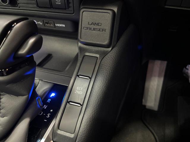 ランドクルーザー250 VX サンルーフ 12型ナビ 全周囲カメラ レーダークルーズ ブラインドスポットモニター デジタルミラー 丸目LEDヘッド 本革 ベンチレーション メモリーシート ステアリングヒーター パワーバックドア(53枚目)