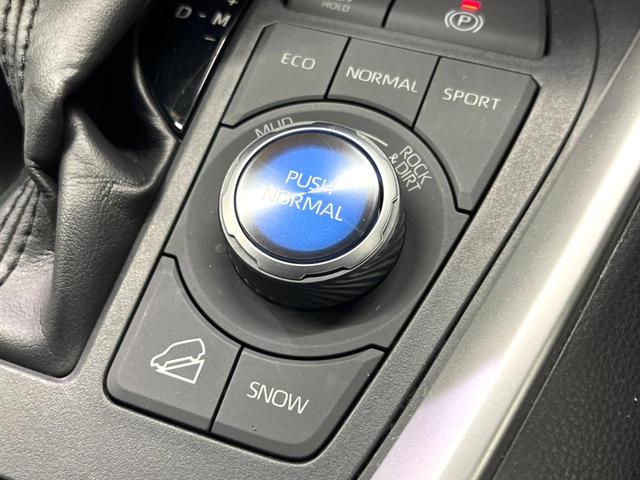 RAV4 アドベンチャー 禁煙 TRDルーフラック TRDバンパーガーニッシュ 9型ナビ バックカメラ レーダークルーズ 電動リアゲート LEDヘッド オートハイビーム パワーシート 純正19インチアルミ ETC(49枚目)