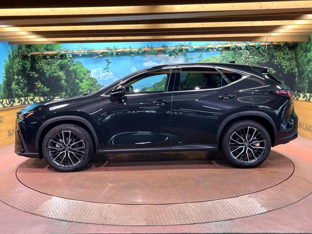 ＮＸ ＮＸ３５０ｈ　バージョンＬ　１４インチナビ　全周囲カメラ　レーダークルーズコントロール　ブラインドスポットモニター　パワーバックドア　ベンチレーション　メモリーシート　ステアリングヒーター　ＬＥＤヘッドライト　純正２０インチＡＷ（55枚目）