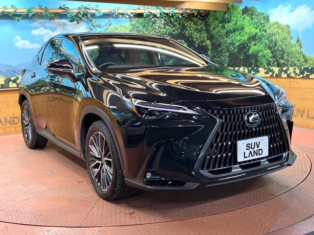 ＮＸ ＮＸ３５０ｈ　バージョンＬ　１４インチナビ　全周囲カメラ　レーダークルーズコントロール　ブラインドスポットモニター　パワーバックドア　ベンチレーション　メモリーシート　ステアリングヒーター　ＬＥＤヘッドライト　純正２０インチＡＷ（57枚目）