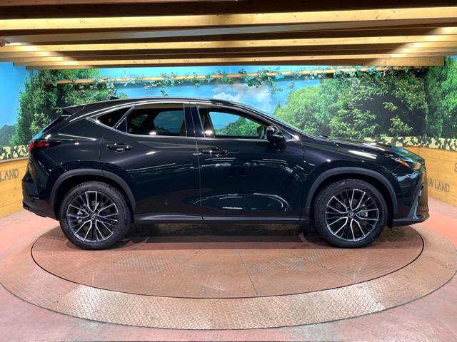 ＮＸ ＮＸ３５０ｈ　バージョンＬ　１４インチナビ　全周囲カメラ　レーダークルーズコントロール　ブラインドスポットモニター　パワーバックドア　ベンチレーション　メモリーシート　ステアリングヒーター　ＬＥＤヘッドライト　純正２０インチＡＷ（58枚目）