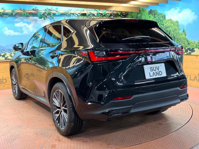 ＮＸ ＮＸ３５０ｈ　バージョンＬ　１４インチナビ　全周囲カメラ　レーダークルーズコントロール　ブラインドスポットモニター　パワーバックドア　ベンチレーション　メモリーシート　ステアリングヒーター　ＬＥＤヘッドライト　純正２０インチＡＷ（60枚目）