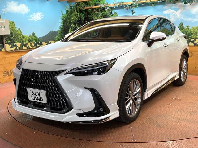 ＮＸ ＮＸ３５０ｈ　バージョンＬ　サンルーフ　モデリスタエアロ　全周囲カメラ　レーダークルーズコントロール　ブラインドスポットモニター　禁煙車　電動リアゲート　レザーシート　全席シートヒーター　前席シートエアコン　ＥＴＣ　ドラレコ（61枚目）
