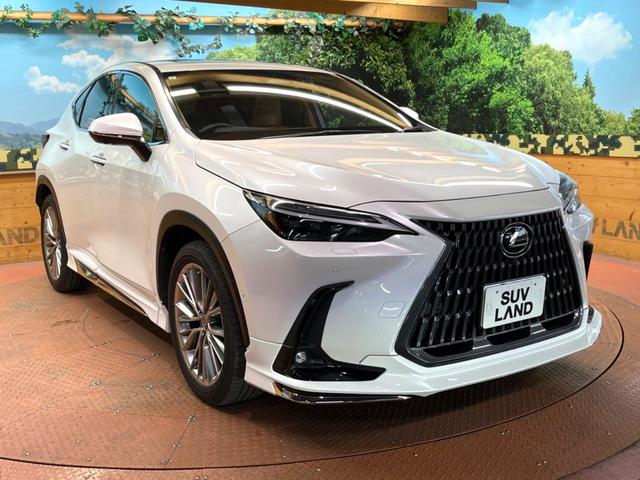ＮＸ ＮＸ３５０ｈ　バージョンＬ　サンルーフ　モデリスタエアロ　全周囲カメラ　レーダークルーズコントロール　ブラインドスポットモニター　禁煙車　電動リアゲート　レザーシート　全席シートヒーター　前席シートエアコン　ＥＴＣ　ドラレコ（62枚目）