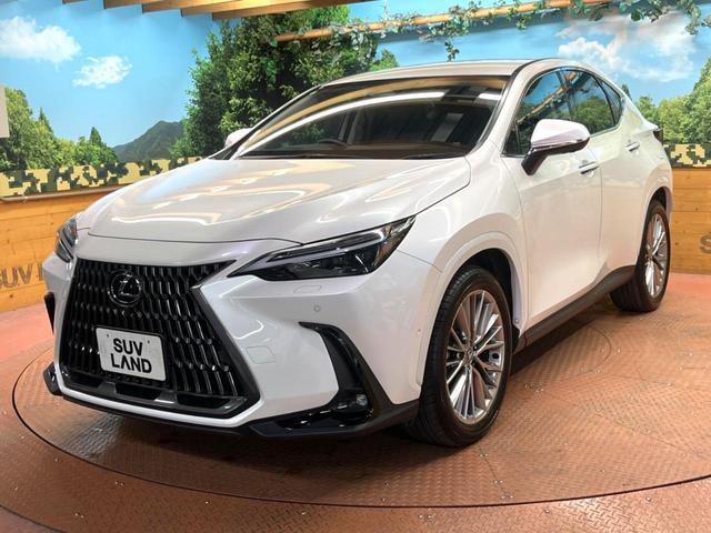 ＮＸ ＮＸ３５０ｈ　バージョンＬ　１４型ナビ　全周囲カメラ　レーダークルーズ　ブラインドスポットモニター　パワーバックドア　ベンチレーション　ＥＴＣ　革シート　メモリーシート　オートハイビーム　ＬＥＤヘッド　純正２０インチアルミ（56枚目）