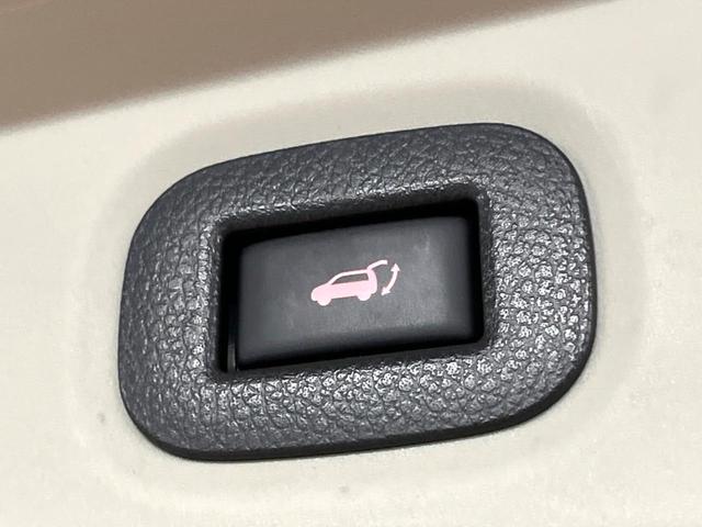 エクストレイル 20XtブラックエクストリーマXエマジェンシブレキP 禁煙車 4WD メーカーナビ 全周囲カメラ 衝突軽減装置 車線逸脱警報 パワーバックドア シートヒーター パワーシート ドラレコ ETC 合皮シート LEDヘッド 純正17インチアルミ クルコン(54枚目)