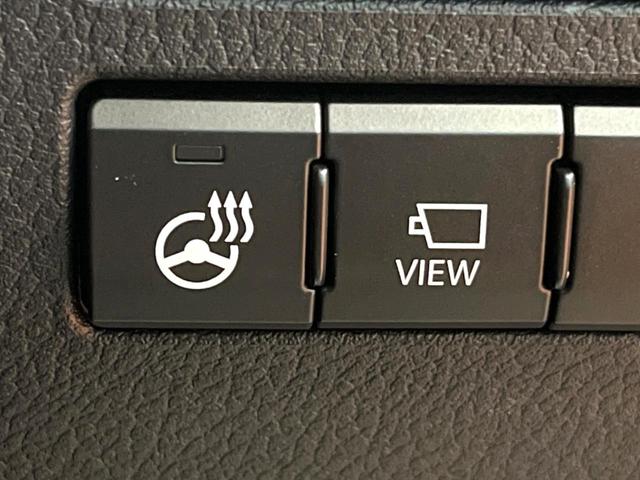 NX NX300 Iパッケージ 禁煙 純正10型ナビ 全周囲カメラ ブラインドスポットモニター レーダークルーズ 電動リアゲート 三眼LEDヘッド オートハイビーム メモリーシート シートヒーター 純正18インチアルミ ETC(36枚目)