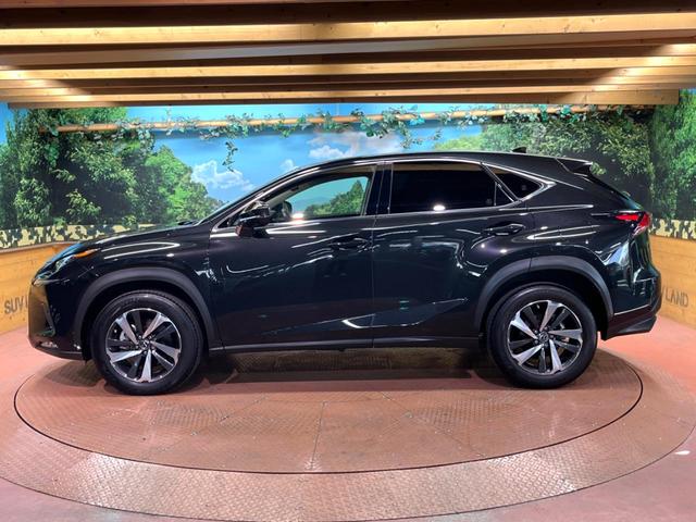 NX NX300 Iパッケージ 禁煙 純正10型ナビ 全周囲カメラ ブラインドスポットモニター レーダークルーズ 電動リアゲート 三眼LEDヘッド オートハイビーム メモリーシート シートヒーター 純正18インチアルミ ETC(58枚目)