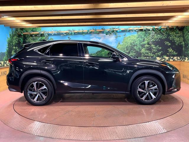 NX NX300 Iパッケージ 禁煙 純正10型ナビ 全周囲カメラ ブラインドスポットモニター レーダークルーズ 電動リアゲート 三眼LEDヘッド オートハイビーム メモリーシート シートヒーター 純正18インチアルミ ETC(61枚目)