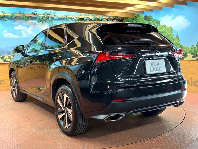 NX NX300 Iパッケージ 禁煙 純正10型ナビ 全周囲カメラ ブラインドスポットモニター レーダークルーズ 電動リアゲート 三眼LEDヘッド オートハイビーム メモリーシート シートヒーター 純正18インチアルミ ETC(63枚目)