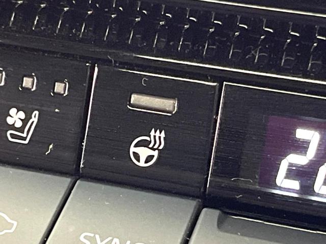 ランドクルーザー２５０ ＶＸ　サンルーフ　丸目ヘッド　純正１２型ナビ　全周囲カメラ　レーダークルーズ　セーフティセンス　ブラインドスポットモニター　デジタルミラー　ベンチレーション　黒革シート　純正１８インチアルミ　禁煙車　ＥＴＣ（51枚目）